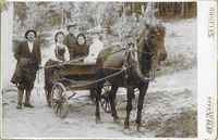 Kusk og fire damer i vogn, damen til venstre er ikledd Vest-Telemarksbunad. Foto: Fra Christen Carl Johannesens samling.