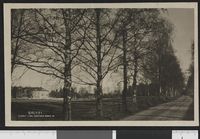 24. Gruset - no-nb digifoto 20150810 00027 bldsa PK30164.jpg