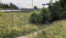 Gryta undergang sett fra vestsiden. Foto Steinar Bunæs.