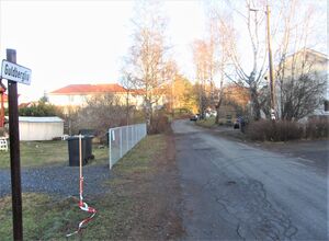 Guldberglia Oslo 2013.jpg