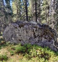 Gunnarstein. Foto: Bente Ødegård (2025).