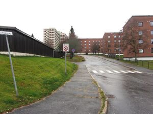 Gunnulvs vei Oslo 2013.jpg