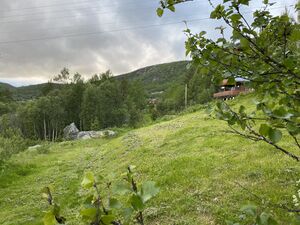 Guristugu med slått og hytte IMG 1444.jpg