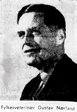Gustav Nærland (NB).JPG