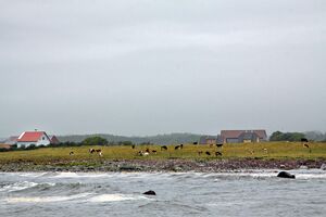 Hå kommune kystlandskap 120723.jpg