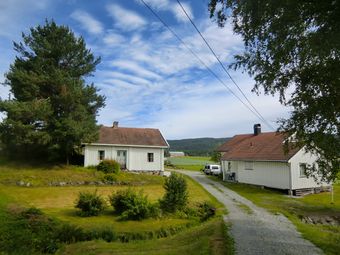 Håre, bnr.10 (be-2010-07-27-CIMG1108).JPG
