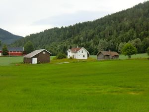 Håre, bnr.25 (be-2010-07-27-CIMG1208).JPG