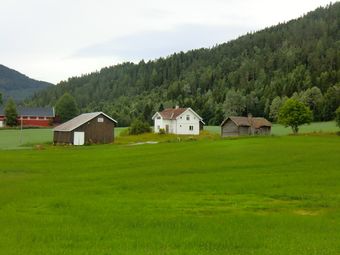 Håre, bnr.25 (be-2010-07-27-CIMG1208).JPG