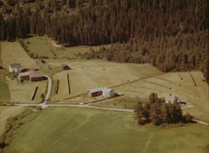 Håre i Bingen (WF410).jpg