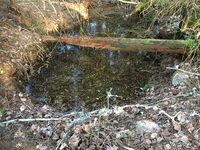 3. Høgås- brønnen.jpeg