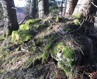 6. Høgås-pipefundament og ildsted.jpeg