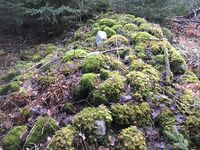 2. Høgås rydningsrøys.jpeg