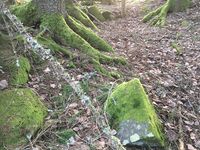 4. Høgås uthusfundament.jpeg