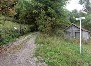 Høgtungutua Feiring 2014.jpg