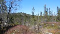 146. Hølafjell (be-2015-05-14-DSCN2590).JPG