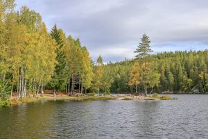 Høldippeldammen 220917.jpg