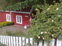 Foto: «Ave» (2014)