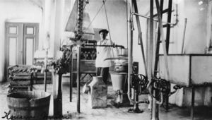 Hønsen Meieri interiør.jpg