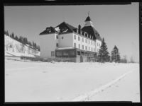 72. Høsbjør - no-nb digifoto 20150206 00052 NB MIT FNR 15881.jpg