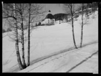 71. Høsbjør - no-nb digifoto 20150206 00062 NB MIT FNR 15942.jpg