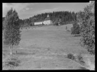 181. Høsbjør - no-nb digifoto 20151130 00291 NB MIT FNR 14124.jpg