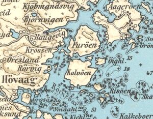 Høvåg mv rekt.kart 1940 - utsnittkalvøysund.jpg