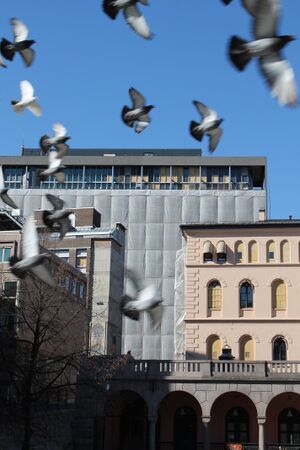 Høyblokka fra Youngstorget med duer.JPG