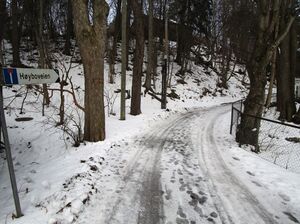 Høyboveien Oslo 2015.jpg