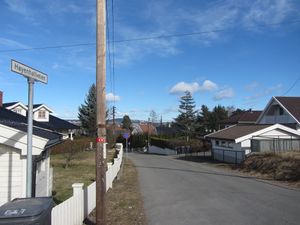 Høyenhallveien Oslo 2014 2.jpg