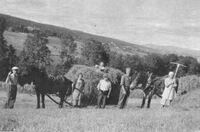 Høyonn på Klunderud