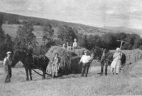 Høyonn på Klunderud