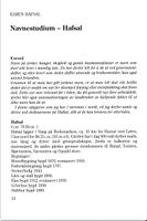 246. Hafsal i Vang - navnestudium.jpeg