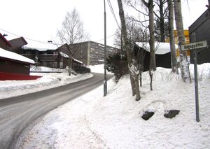 Hagapynten Oslo 2014.jpg