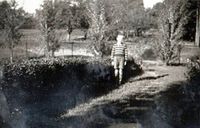 Fra hagen i Niels Høeghs vei 10 mot Bråtes ytre eplehage.