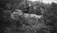 Hageufs sett frå hagen på Øvre Haugane 14. august 1955