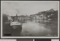 164. Halden - no-nb digifoto 20151202 00053 bldsa PK13356.jpg