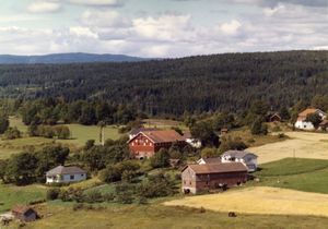 Hals ved Vestfossen - WF088.jpg