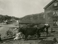 413. Halse, Kleven, Vest-Agder - Riksantikvaren-T205 01 0201.jpg