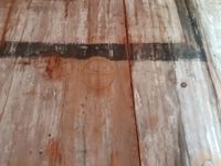 Solkors rissa inn på veggen. Foto: Aslak Kittelsen (2020).