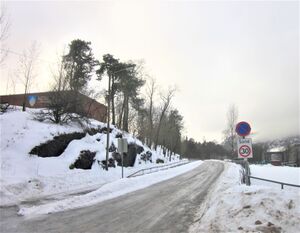 Halvard Torgersens vei Asker 2012.jpg