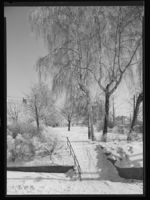 53. Hamar - no-nb digifoto 20150206 00019 NB MIT FNR 15825.jpg