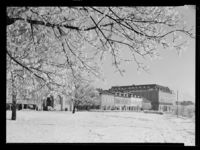 51. Hamar - no-nb digifoto 20150206 00039 NB MIT FNR 15823.jpg