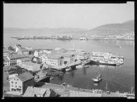 Havna i Hammerfest, 1955 Foto: NB