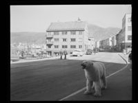 Hammerfest, 1959 Foto: NB
