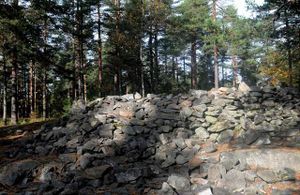 Haneborgaasen gravroeyser LL018.jpg