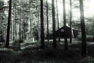 Haneborgaasen hytte LL-017.jpg