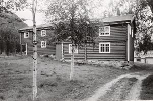 Hanestad Østre, Hedmark - Riksantikvaren-T115 01 0090.jpg