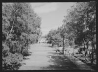 253. Hankø - no-nb digifoto 20151118 00003 NB MIT FNR 16172.jpg