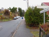 Parti fra Hans Aanruds vei. Foto: Stig Rune Pedersen (2013).