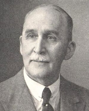 Hans Teilman Hansteen.jpg